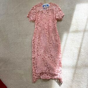 Size 6 Pink Lace midi dress